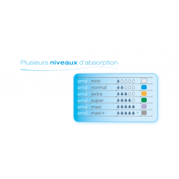 amd absorptions